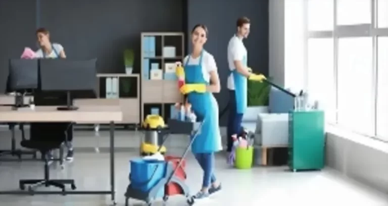 Mejores empresas se limpieza del hogar en Bailén